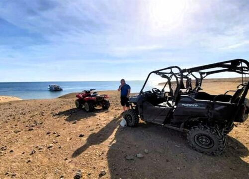 Hurghada Quad- und Buggy Meerblick, Kamel bei Sonnenaufgang